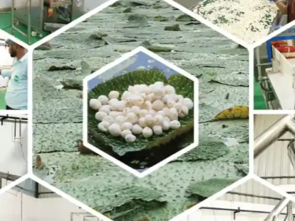 Private Label | FMCG