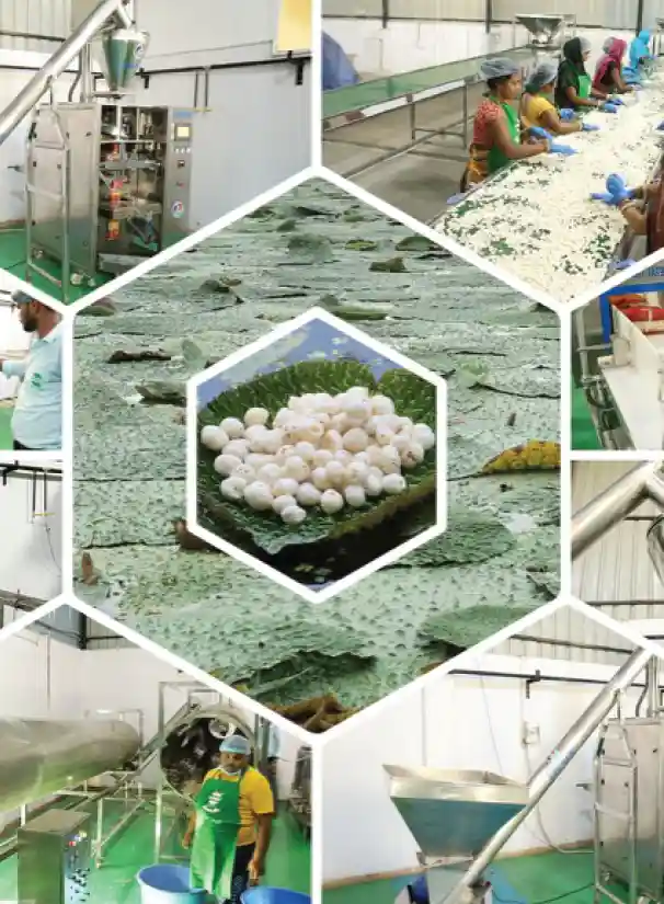 Private Label | FMCG