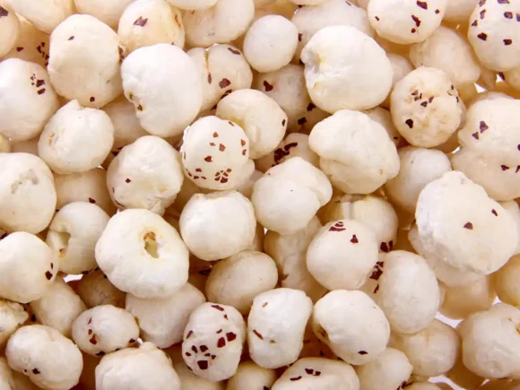 Meet Our Farmers – The Heart of Organic Mithila