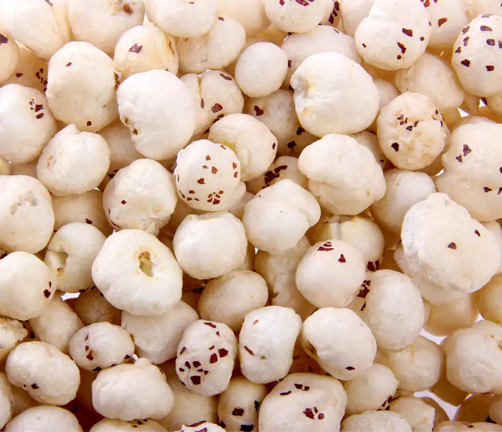 Meet Our Farmers – The Heart of Organic Mithila