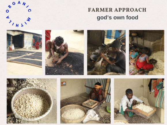 The Science Behind the Crunch: How Makhana Is Processed Naturally….,