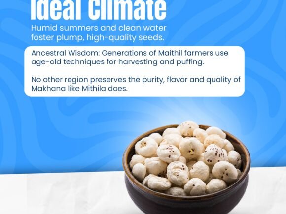 Celebrating Mithila’s Heritage Through Makhana