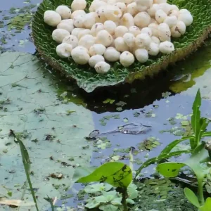 69508f69-d3c3-49a3-86ea-391985e97c8c 69508f69-d3c3-49a3-86ea-391985e97c8c